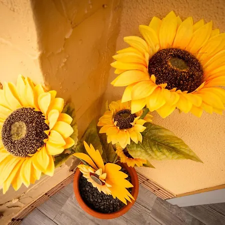 Daire Casa De Los Girasoles *