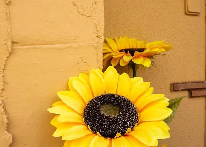 Casa De Los Girasoles *