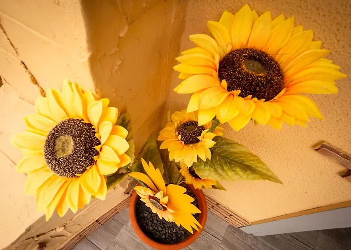 Appartement Casa De Los Girasoles *